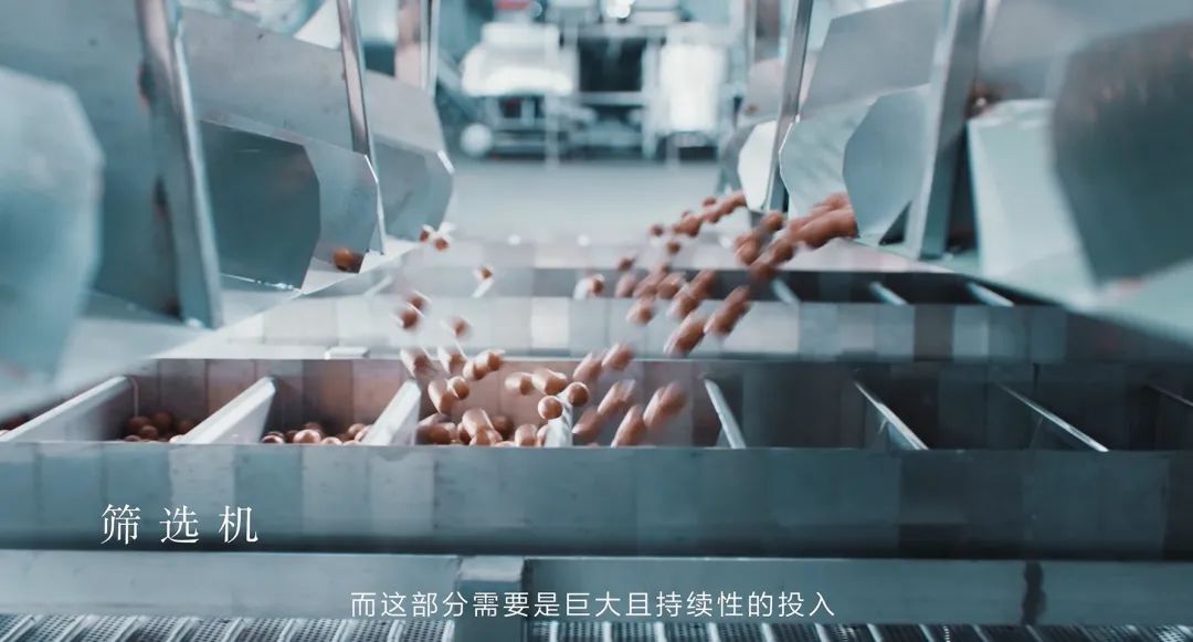 穿越“至暗期”后,三只松鼠的“百亿路”稳了吗?