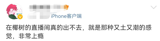 擦!椰树终于承认了?!