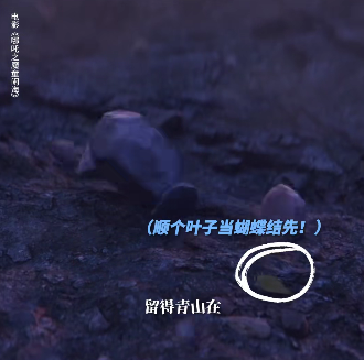 粉碎&ldquo;白幼瘦&rdquo;的石矶娘娘，幕后营销推手曝光！