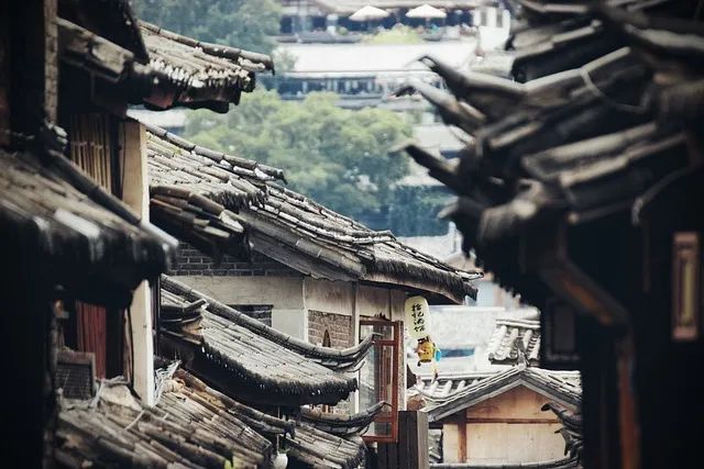 乙巳蛇年春节选择“分段游”,这届打工人与“携程们”渐行渐近