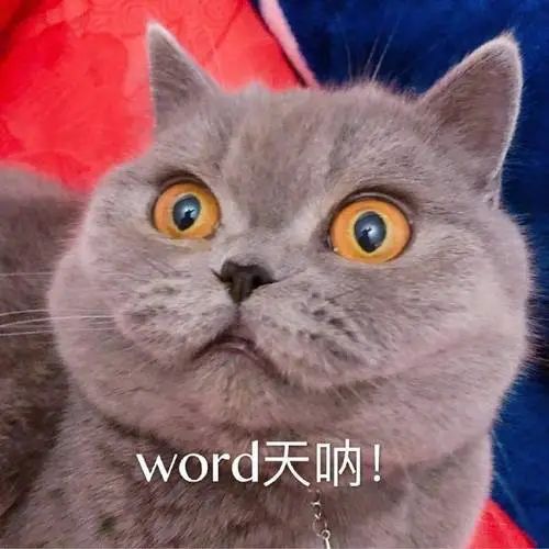 过去的2024年,到底是谁在赚钱?