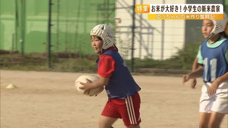 日本9岁小学生暑假租600㎡地，学会了种田，实现吃米饭自由！网友：动手能力比我强1000倍！