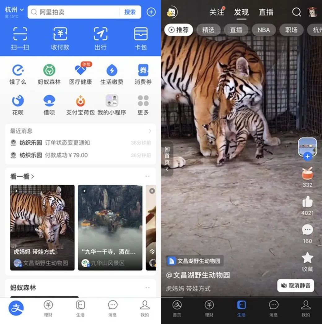 盯上视频+直播,支付宝生活号做得怎么样了?