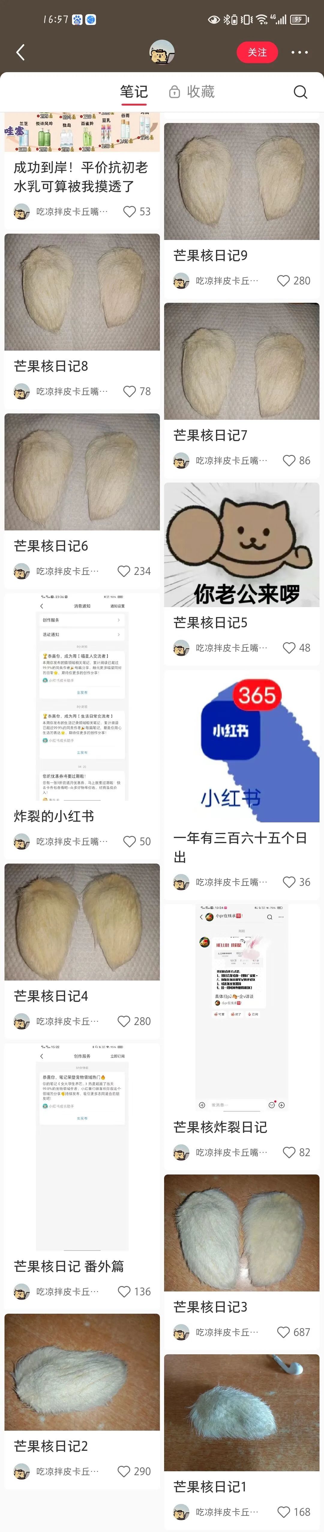 从“养芒狗”事件,看双11如何打造小红书低门槛营销爆款?