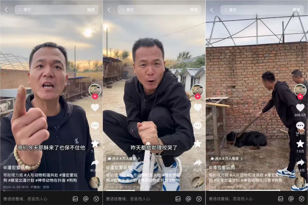 咆哮式训狗吸粉1250万,宠物赛道变天了?