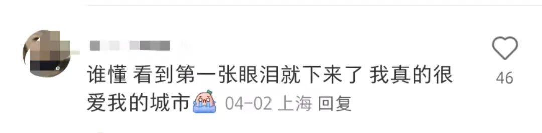 看哭全网的小狗广告翻车?反转来得太突然!