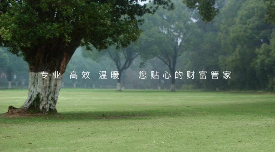 用理财的视角看爱情,广告也可以很好看