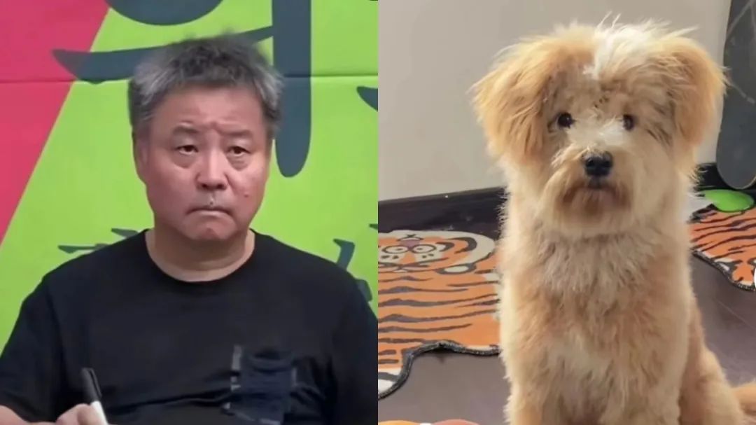 年轻人都爱&ldquo;潦草小狗&rdquo;背后，出版业该如何抓住流量密码？