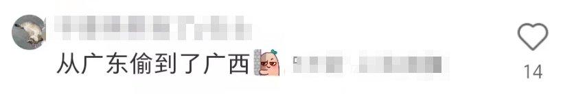 蜜雪冰城偷自家东西?网友:异地登录!
