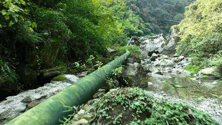 农夫山泉“生态纪录片”新发布:看懂一支广告背后的“长期主义”