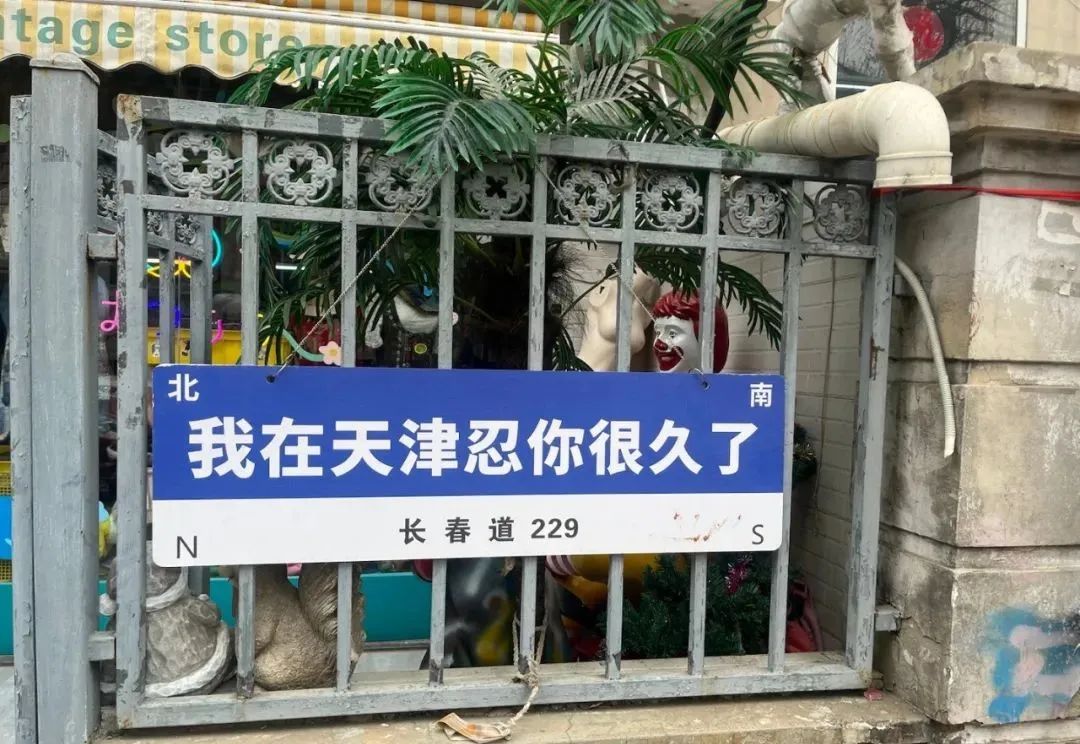 网红路牌文案,被网友们“玩坏”了