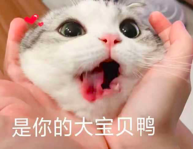 image.png image.png