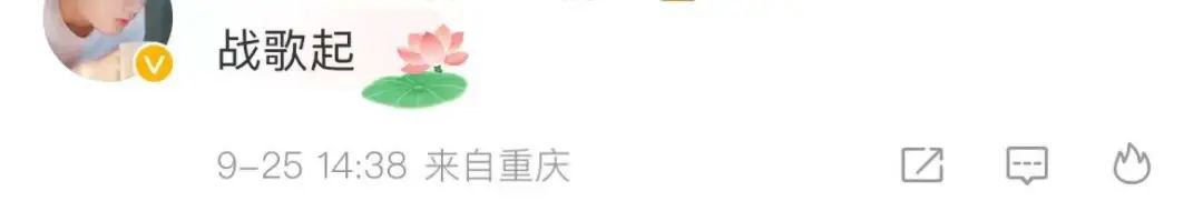 华为发布会最大亮点：华仔代言华子