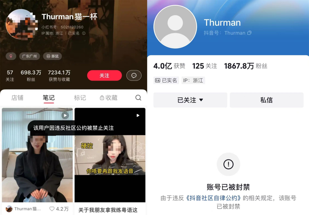 全网封杀!4000万粉顶流网红“猫一杯”凉凉,原因是...