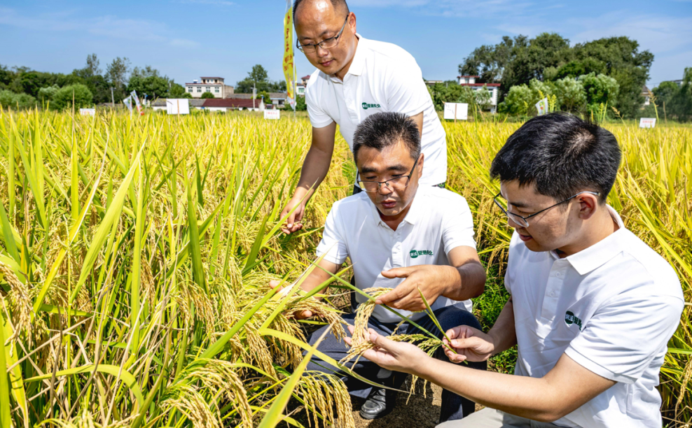 多多跨境是如何点燃拼多多增长新引擎的?