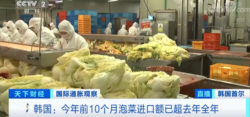 韩国泡菜99%都产自中国?你所知道的都是错的