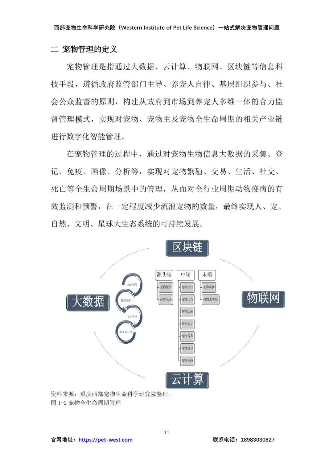 179页报告全面了解2024中国宠物行业