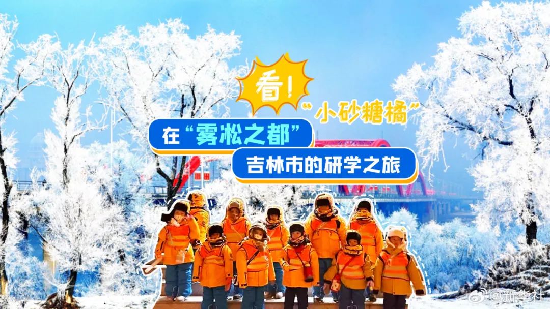 尔滨的「梗」风暴