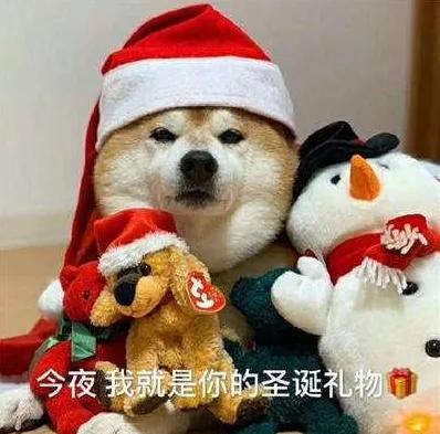 除了年年刷脸的诚哥,我更想聊聊平安夜里被遗忘的他