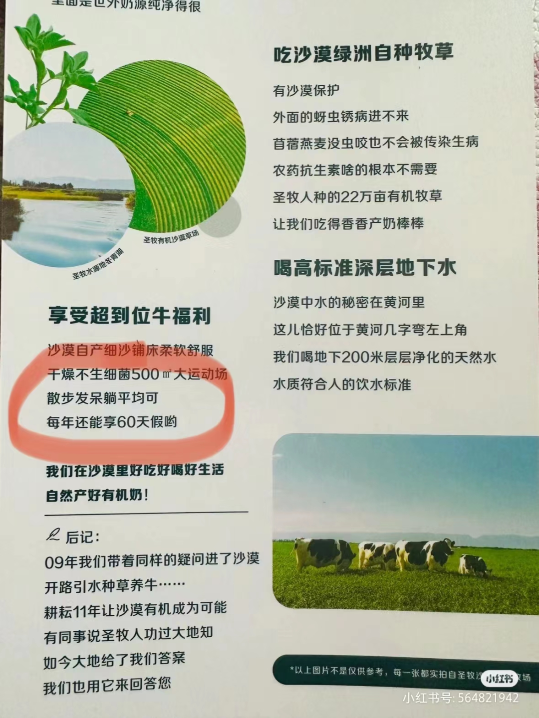 盒马的猪,把刘畊宏女孩卷疯了!