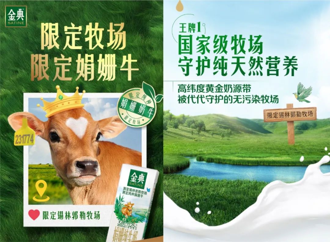 来自黑土地的谢添地,肩负百亿大考任务,能否撑起越秀乳业高端梦