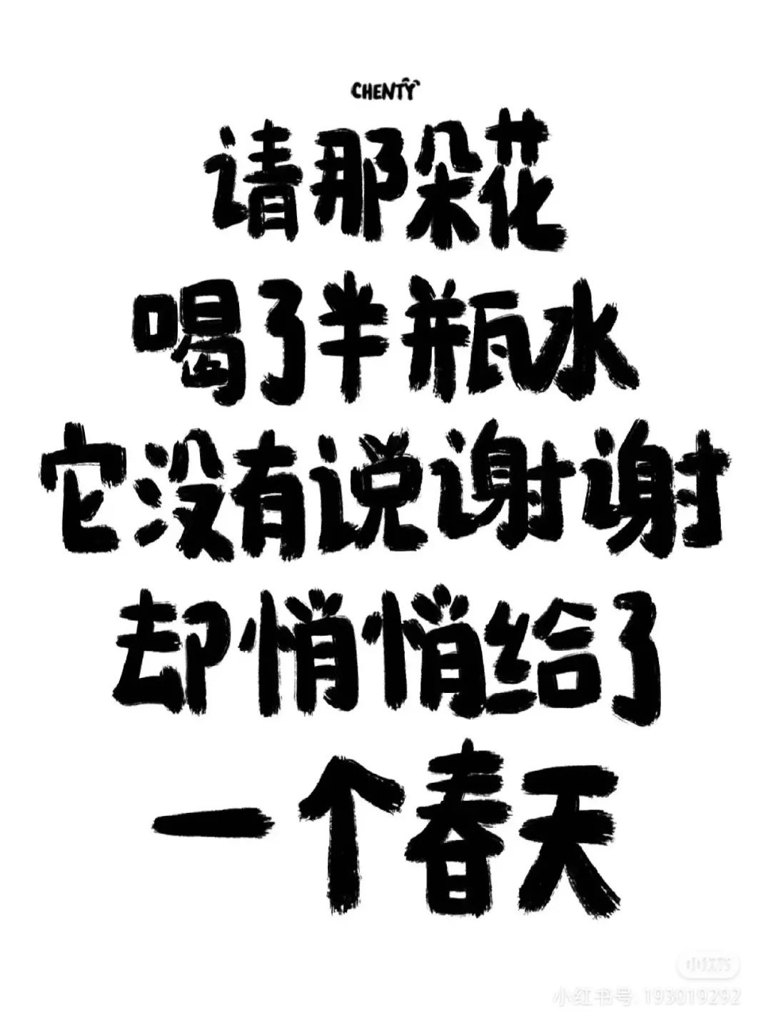 这个春天，我被这15句文案打击