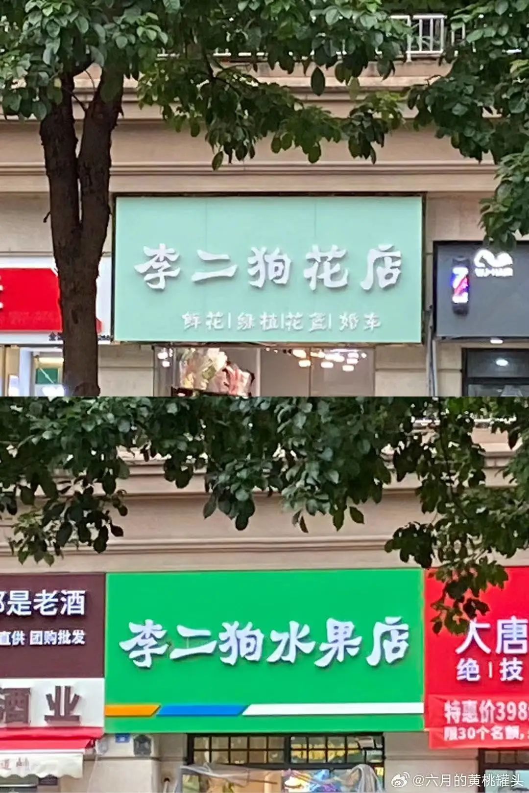 &ldquo;笨手笨脚搬家公司&rdquo;爆火，创意被网友笑上热搜