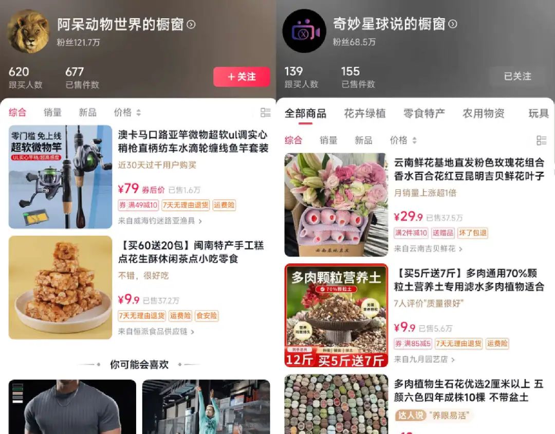 1个月涨粉超300万,这届年轻人有自己的《动物世界》
