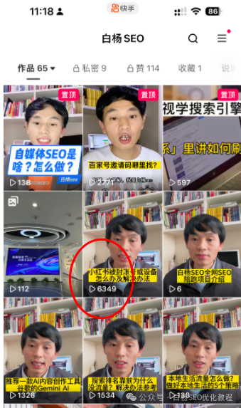 找准用户痛点，做爆流量很容易！不管是搜索还是平台推荐，不管是图文还是短视频，实战案例拆解+经验分享【白杨SEO】