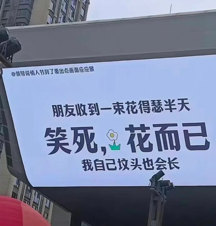 哈哈哈哈哈这文案谁写的啊!!!