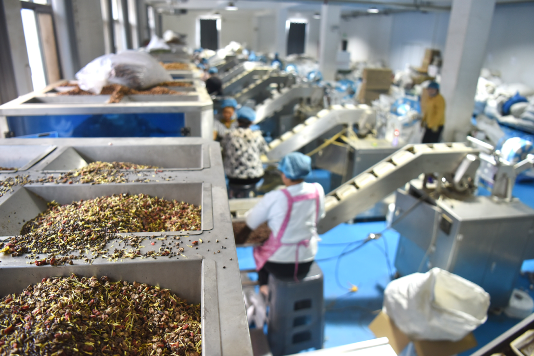 探秘亳州模式:花草茶产业在拼多多狂奔的5年