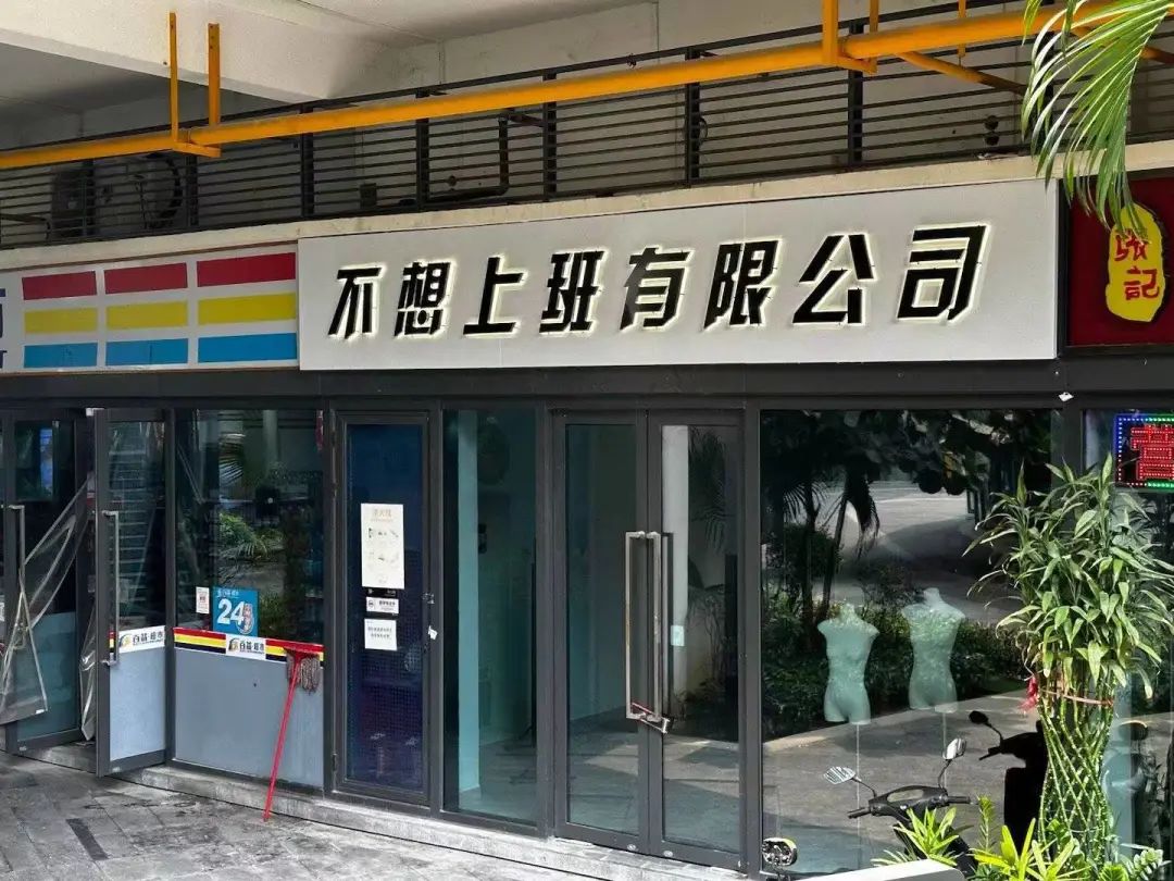 &ldquo;笨手笨脚搬家公司&rdquo;爆火，创意被网友笑上热搜
