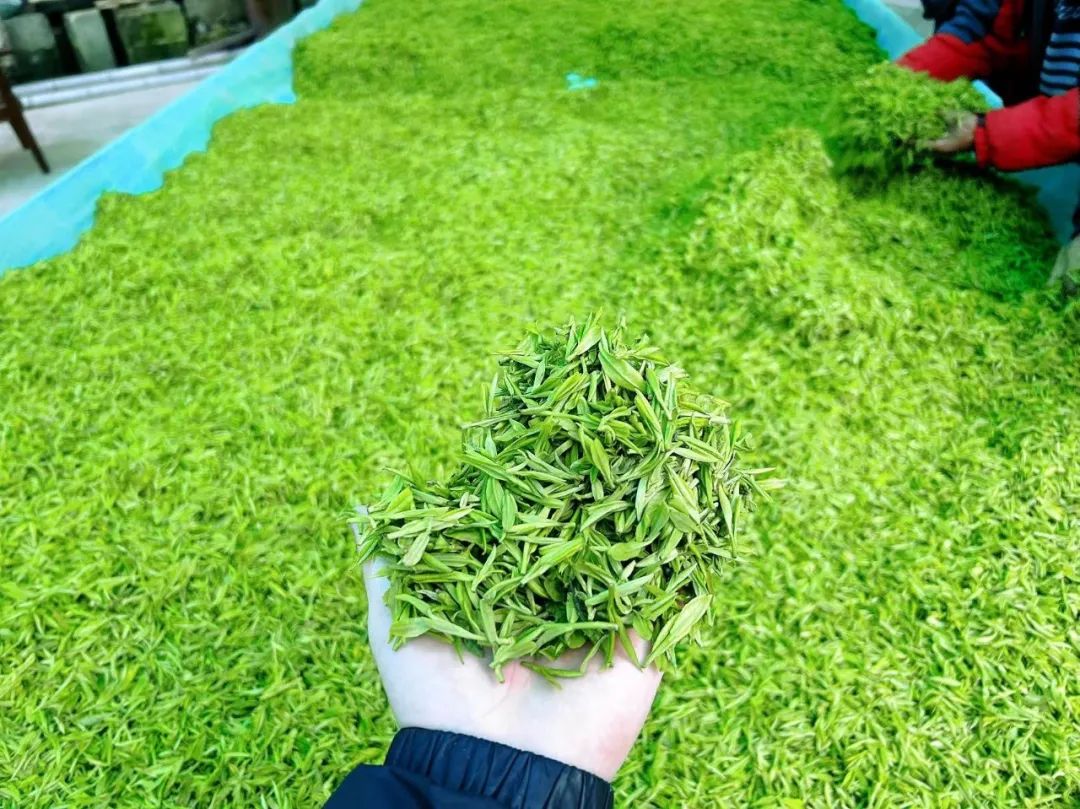 普通人不要去卖茶,注定赚不到钱。