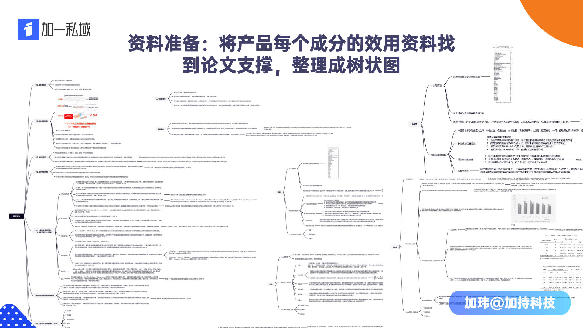 ia_100000006.jpg ia_100000006.jpg