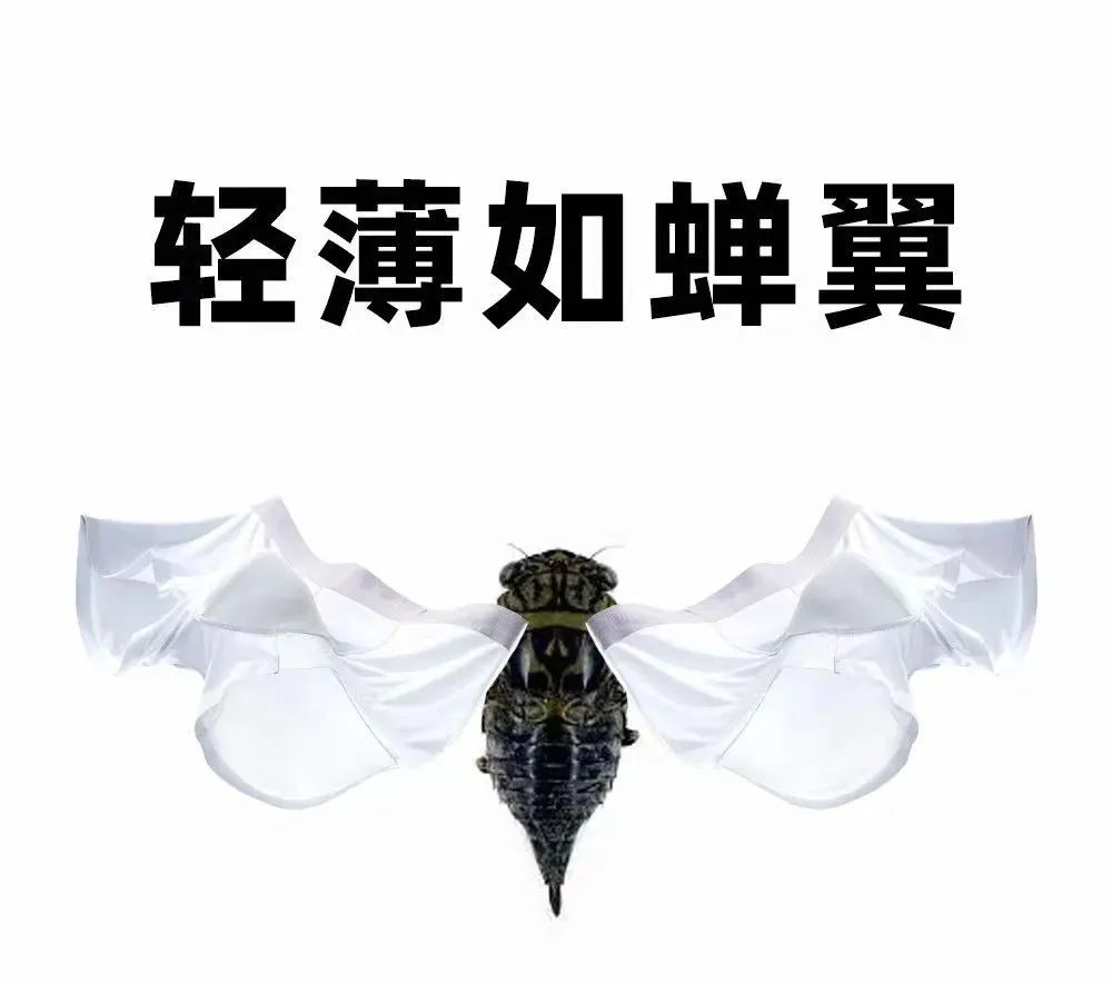 网友为内裤品牌写的卖货文案，路子太&ldquo;野&rdquo;了!