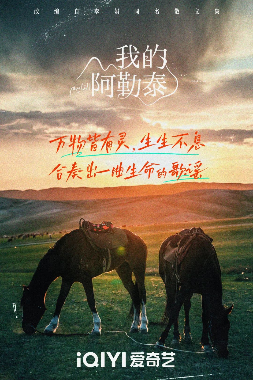 《我的阿勒泰》这些 “松弛感文案”,温暖又治愈