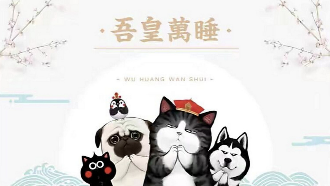 当我们在谈IP时，我们在谈些什么？