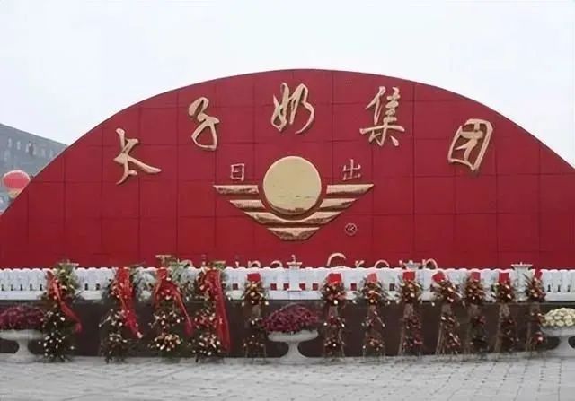 国货品牌大盘点,网友:太奶来了