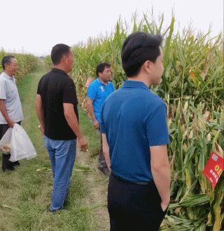 千万网红&ldquo;世纪PK&rdquo;，大爷大妈养老金氪金甘愿被收割？