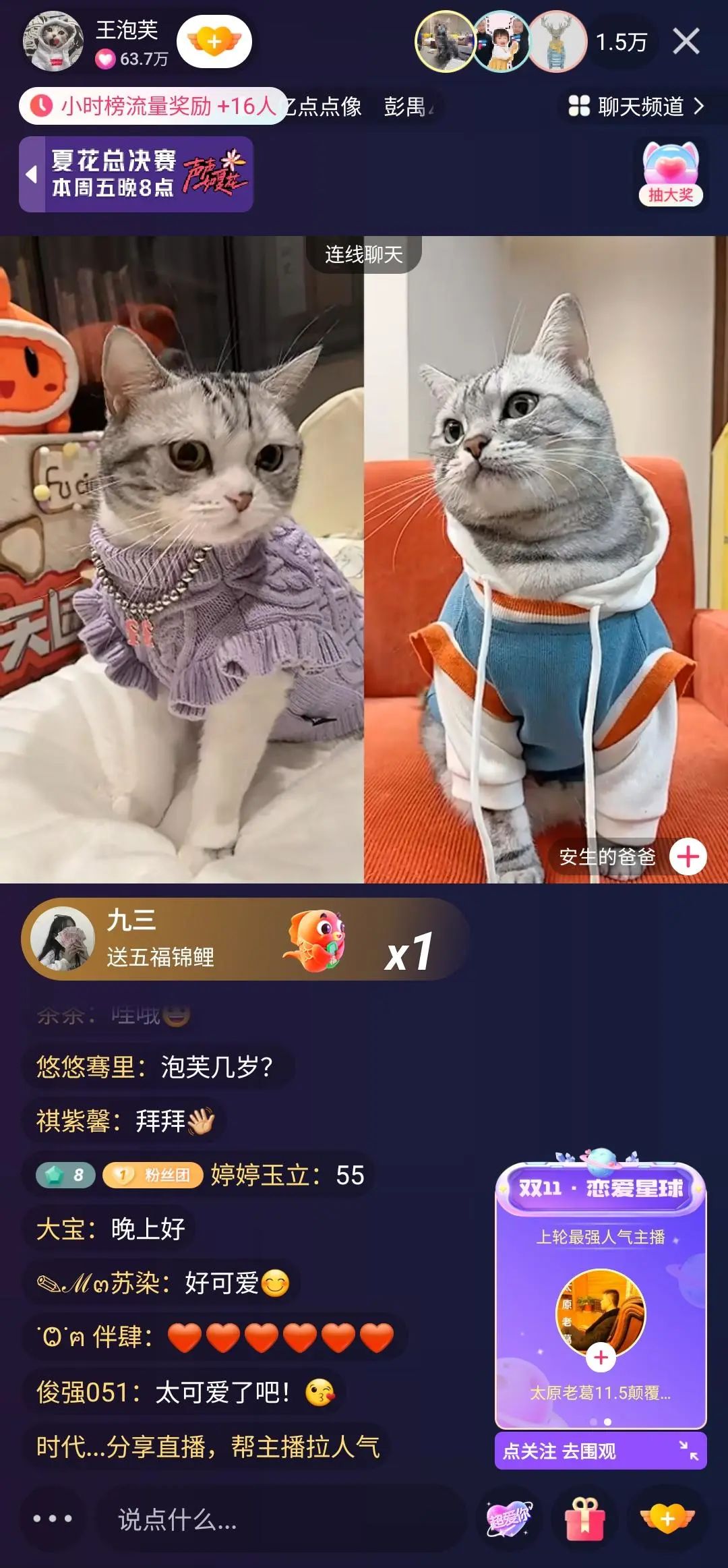 对话千万粉萌宠博主&ldquo;王泡芙&rdquo;：停更四个月，快手回归直播场观超500万