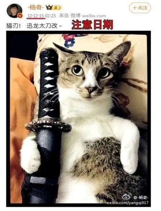 “黑猴经济学”红与黑:营销加分,公关减分