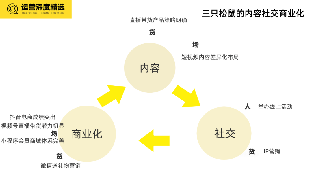 2024品牌全域经营年度十大案例（下）丨年终复盘