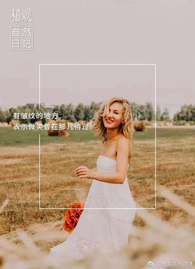 12句话疗文案，极度舒适~