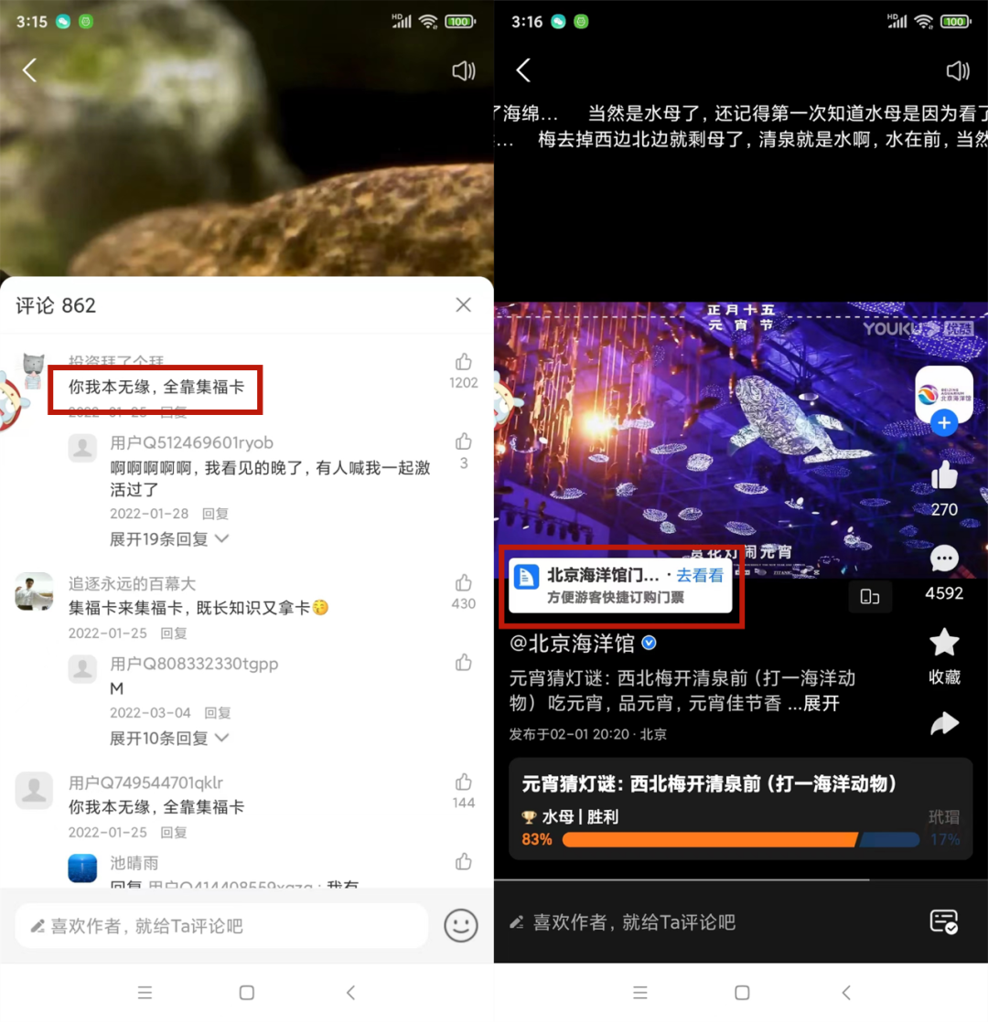 盯上视频+直播,支付宝生活号做得怎么样了?