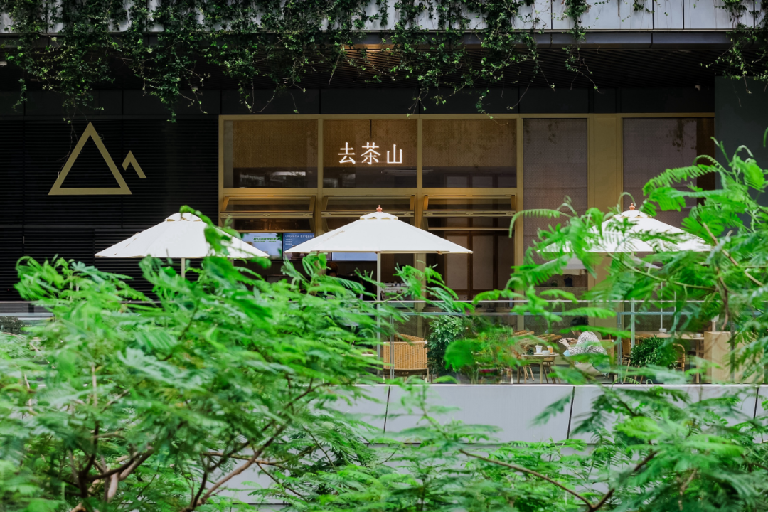 靠&ldquo;一杯好喝的水&rdquo;，拥有上百万会员，这家茶饮店凭什么？