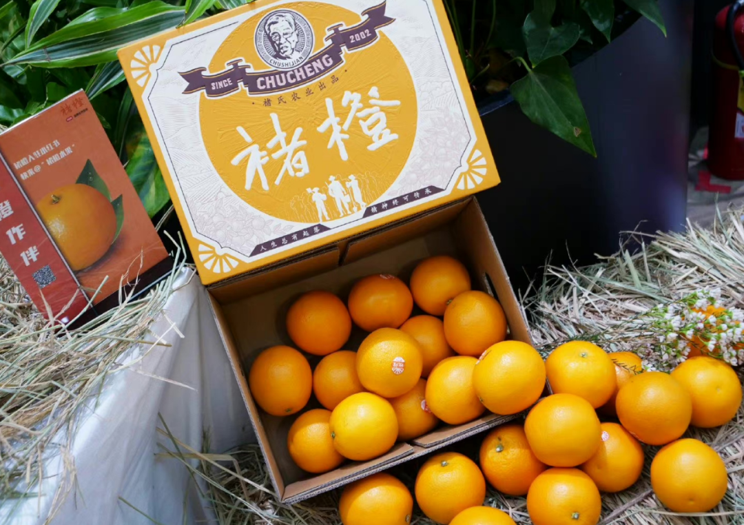本来生活,又炒褚橙的冷饭?| 锐观察