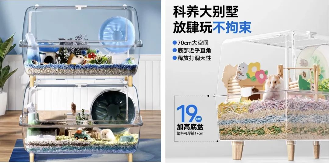 宠物界“泡泡玛特”,爆卖800万件+、复购率60%,凭啥?