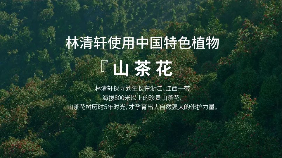 国货品牌打败国际大牌,为何林清轩又是精华油热卖榜第1?| 专访林清轩创始人孙来春