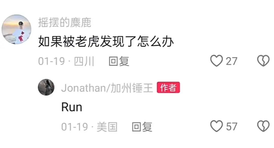 7天涨粉百万,听劝的野外摄影师“加州锤王”快把网友哄成“胚胎”了