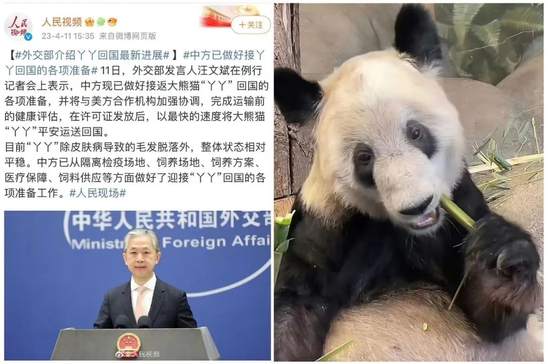 播放量破600亿,抖音又现新顶流